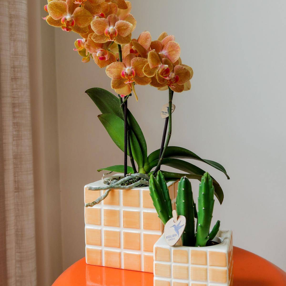 Pot décoratif Mosa - Orange- La Green Touch - Imagen 8