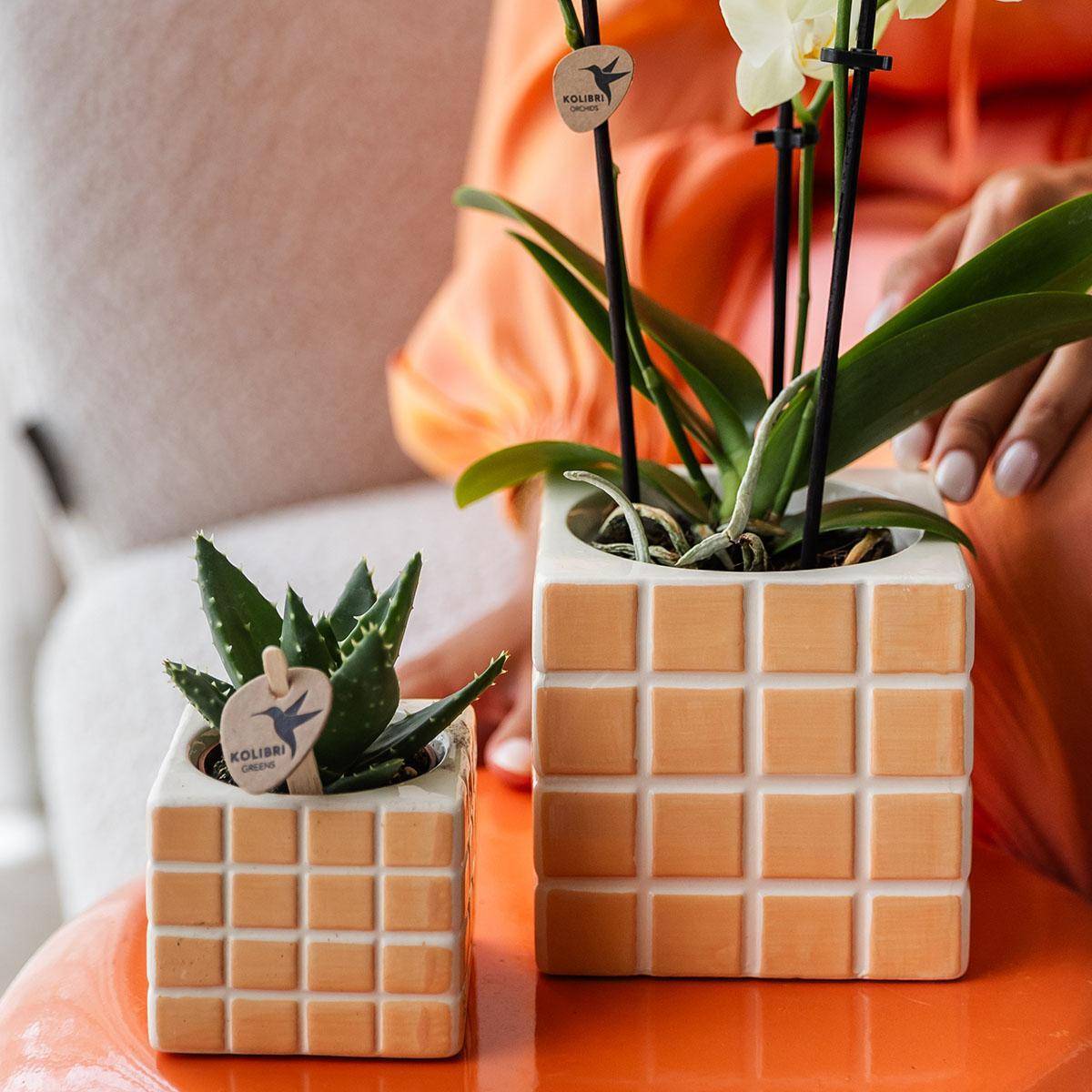 Pot décoratif Mosa - Orange- La Green Touch - Imagen 3