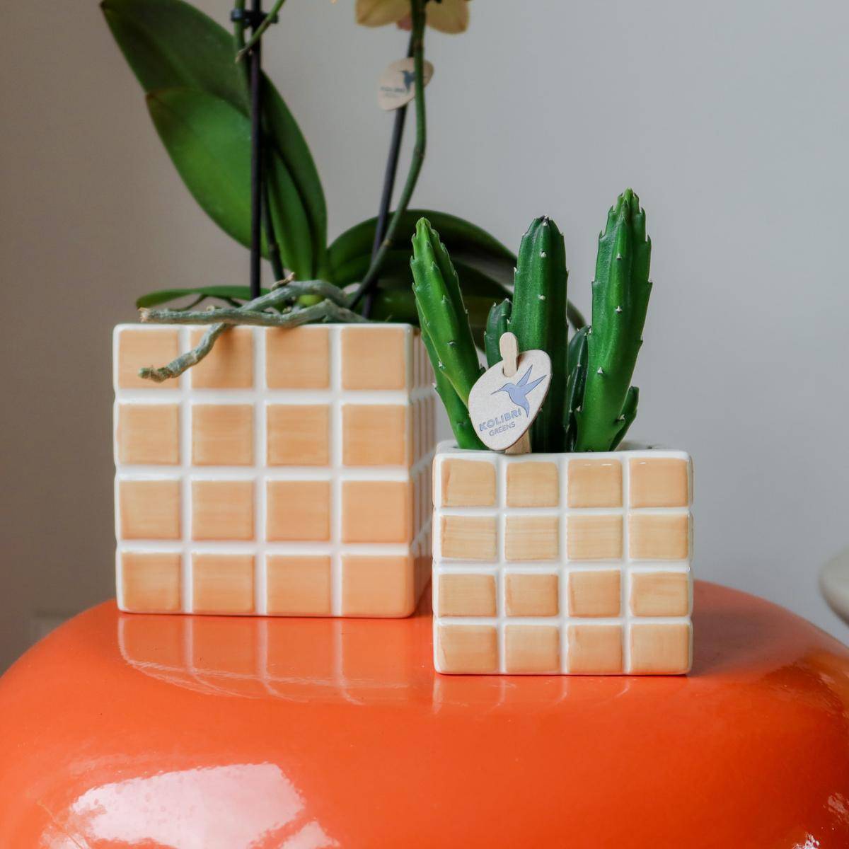 Pot décoratif Mosa - Orange- La Green Touch - Imagen 6