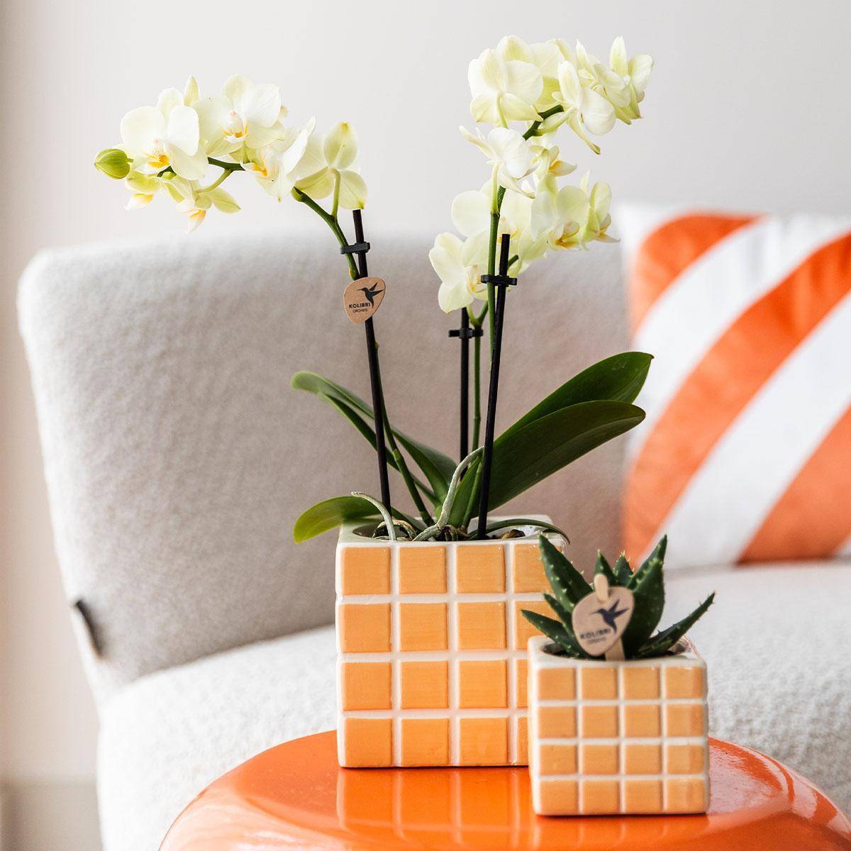 Pot décoratif Mosa - Orange- La Green Touch - Imagen 2