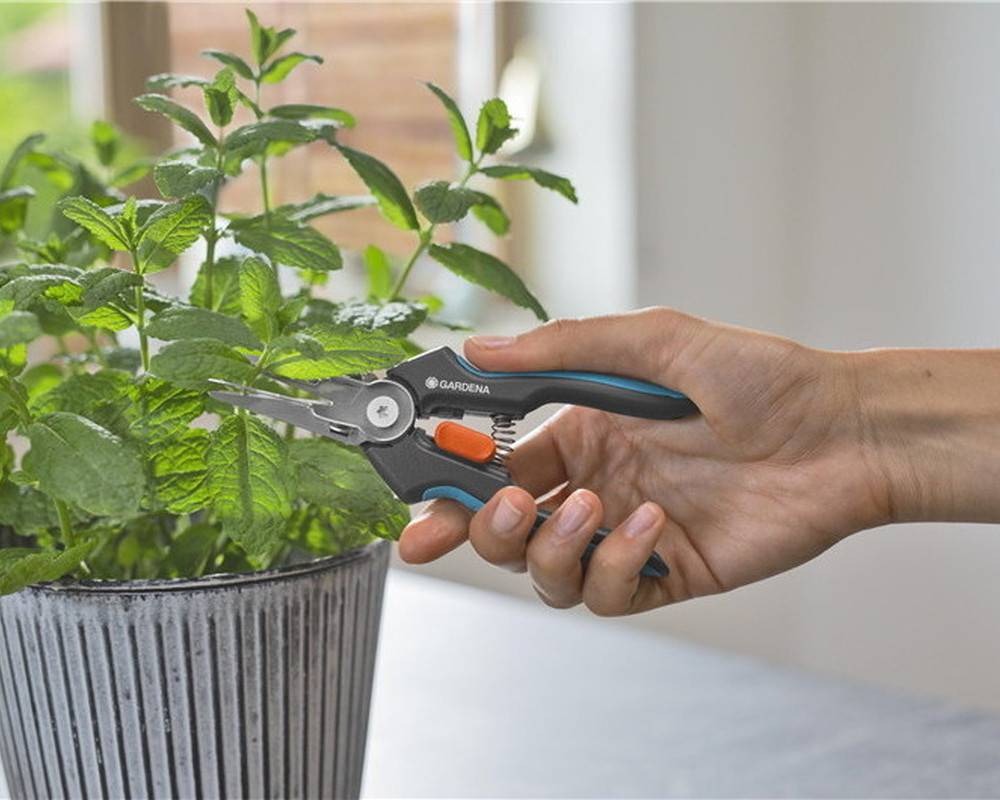 Gardena - Sécateurs GripCut à lames aiguisées et pointues Gardena - Imagen 3