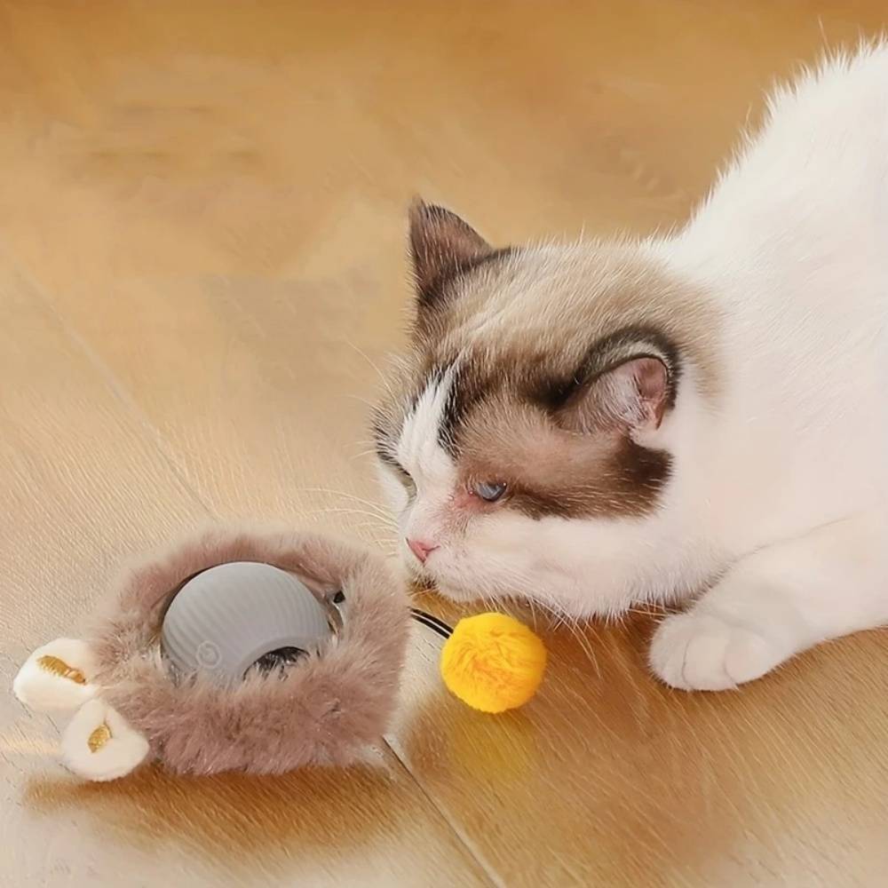 IntiMeg - Jouet pour chat balle en peluche électrique Gris IntiMeg - Image 4