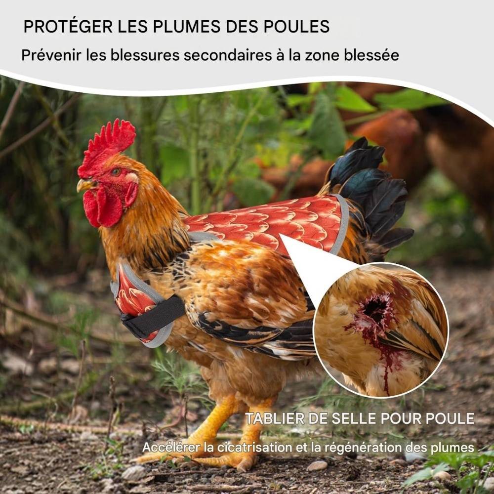 DtopbuyAge - Selle de protection pour poules DtopbuyAge - Image 4