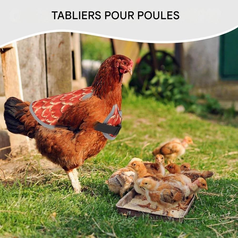 Selle de protection pour poules DtopbuyAge - Image 3