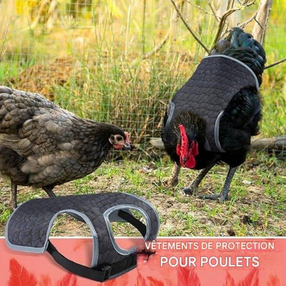 DtopbuyAge - Selle de protection pour poules DtopbuyAge - Image 2