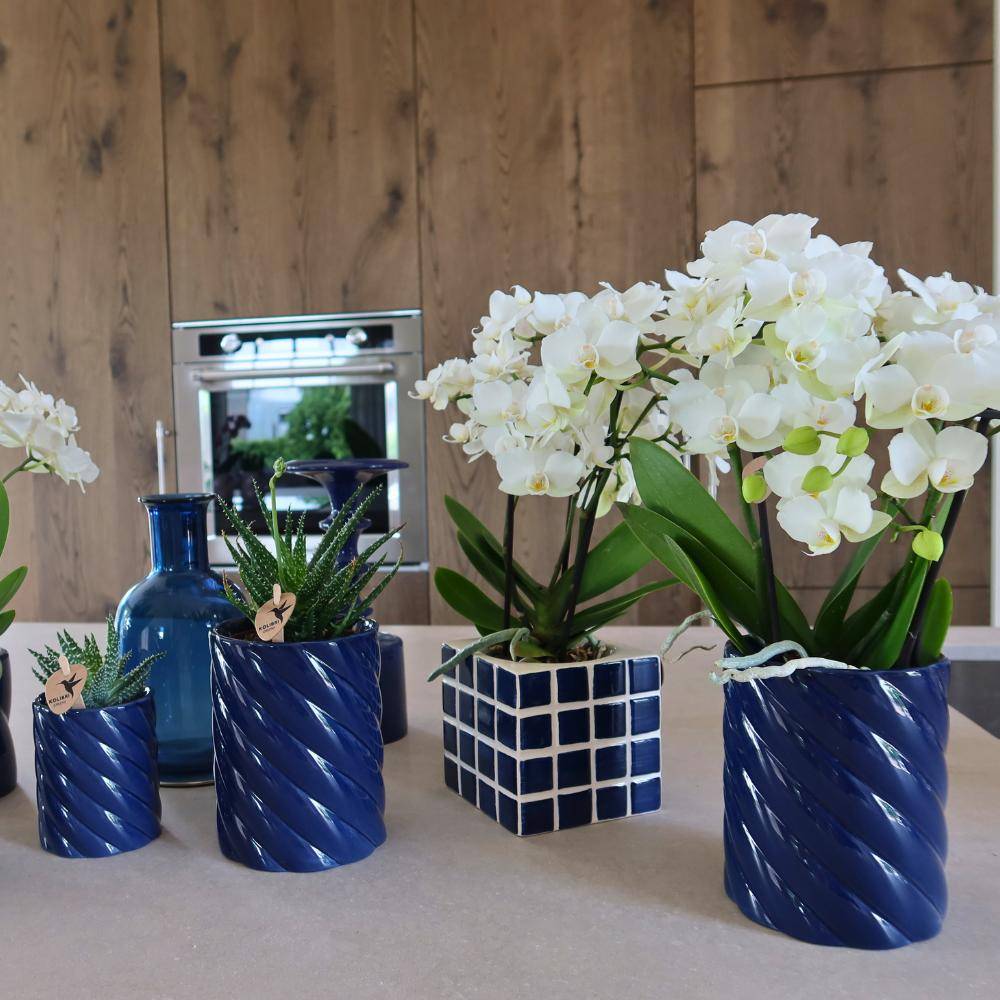 Pot Décoratif Candy Bleu Vibrant- La Green Touch - Imagen 9