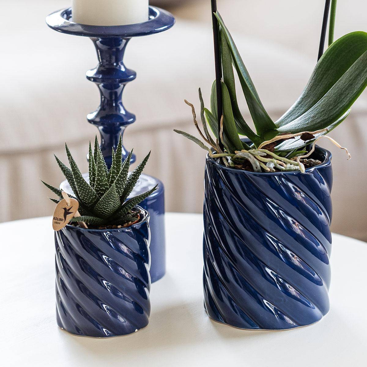 Pot Décoratif Candy Bleu Vibrant- La Green Touch - Imagen 7