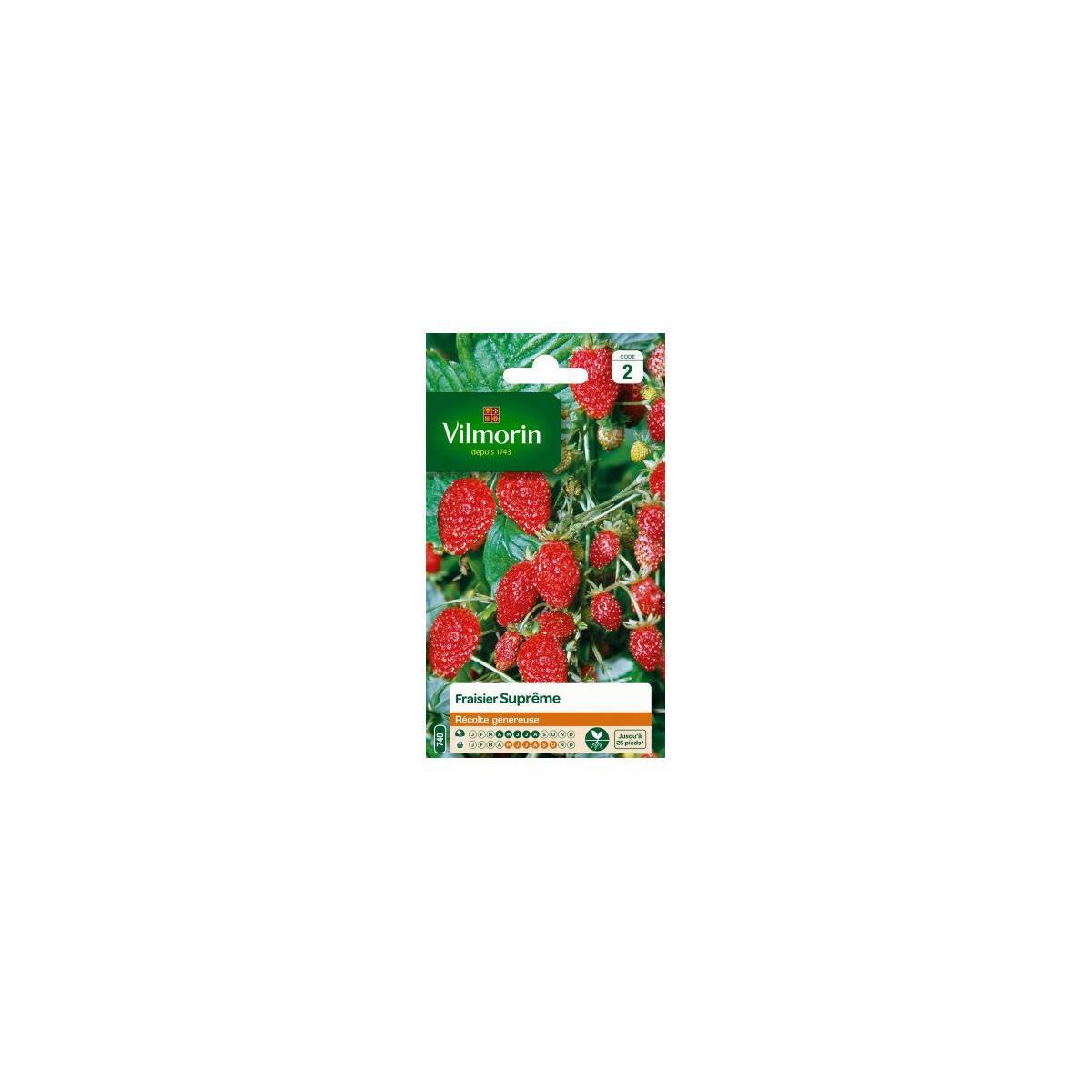 Vilmorin - Sachet graines Fraisier des 4 saisons Supreme