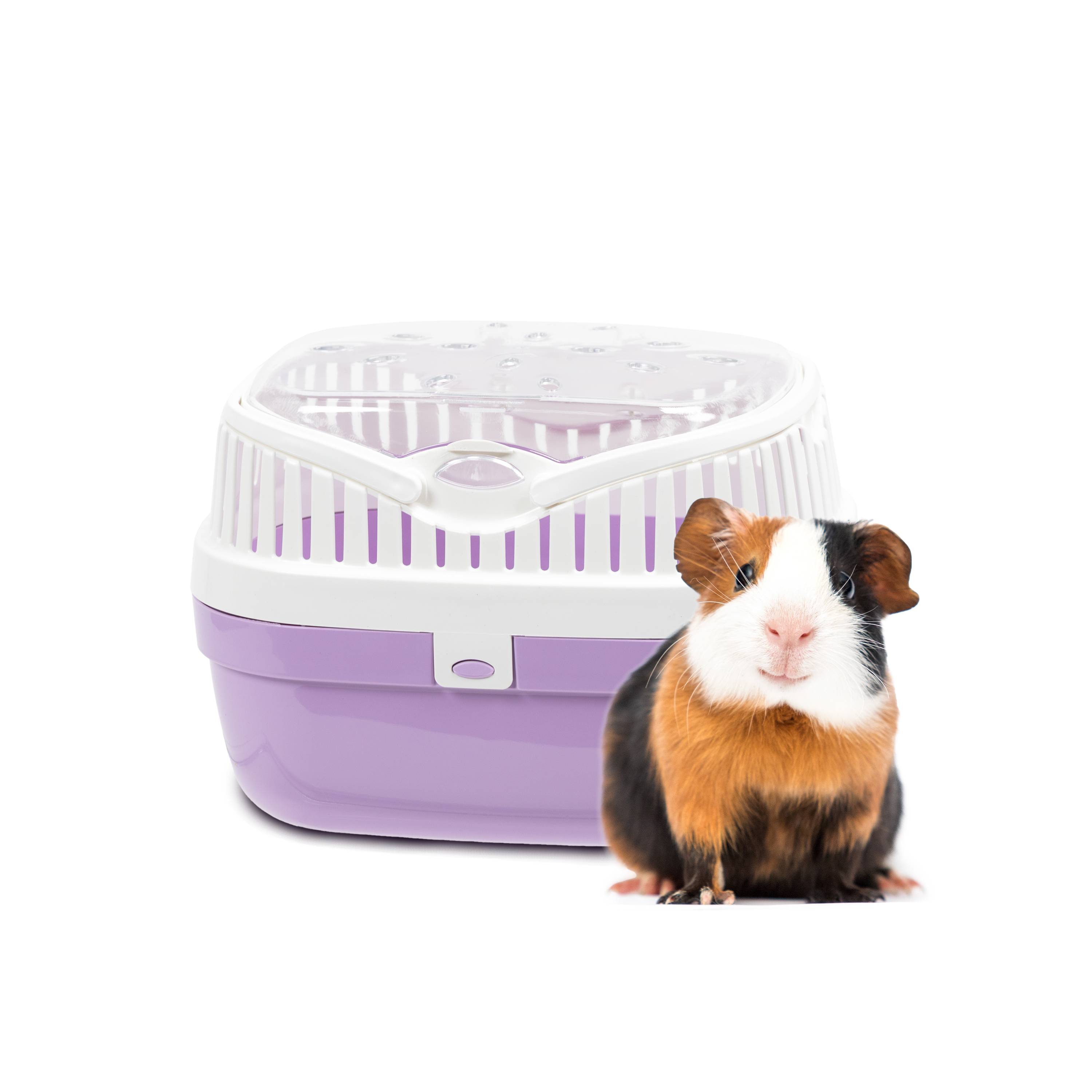 Ferplast - Ferplast Transport pour cochons d'inde et autres rongeurs ALADINO MEDIUM Cage de transport pour animaux domestiques, rongeurs, cochons d'inde, - Imagen 3
