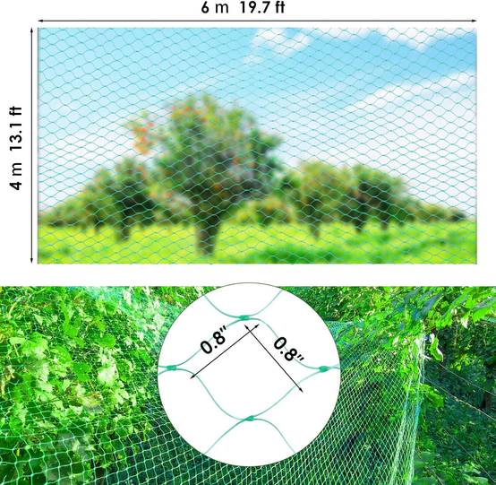 Filet de protection oiseaux vert L.12 x l.4 m - IntiMeg - Image 3