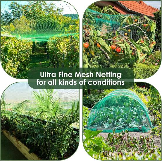 Filet de protection oiseaux vert L.12 x l.4 m - IntiMeg - Image 4