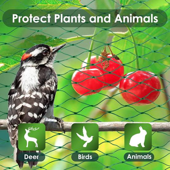 Filet de protection oiseaux vert L.12 x l.4 m - IntiMeg - Image 2