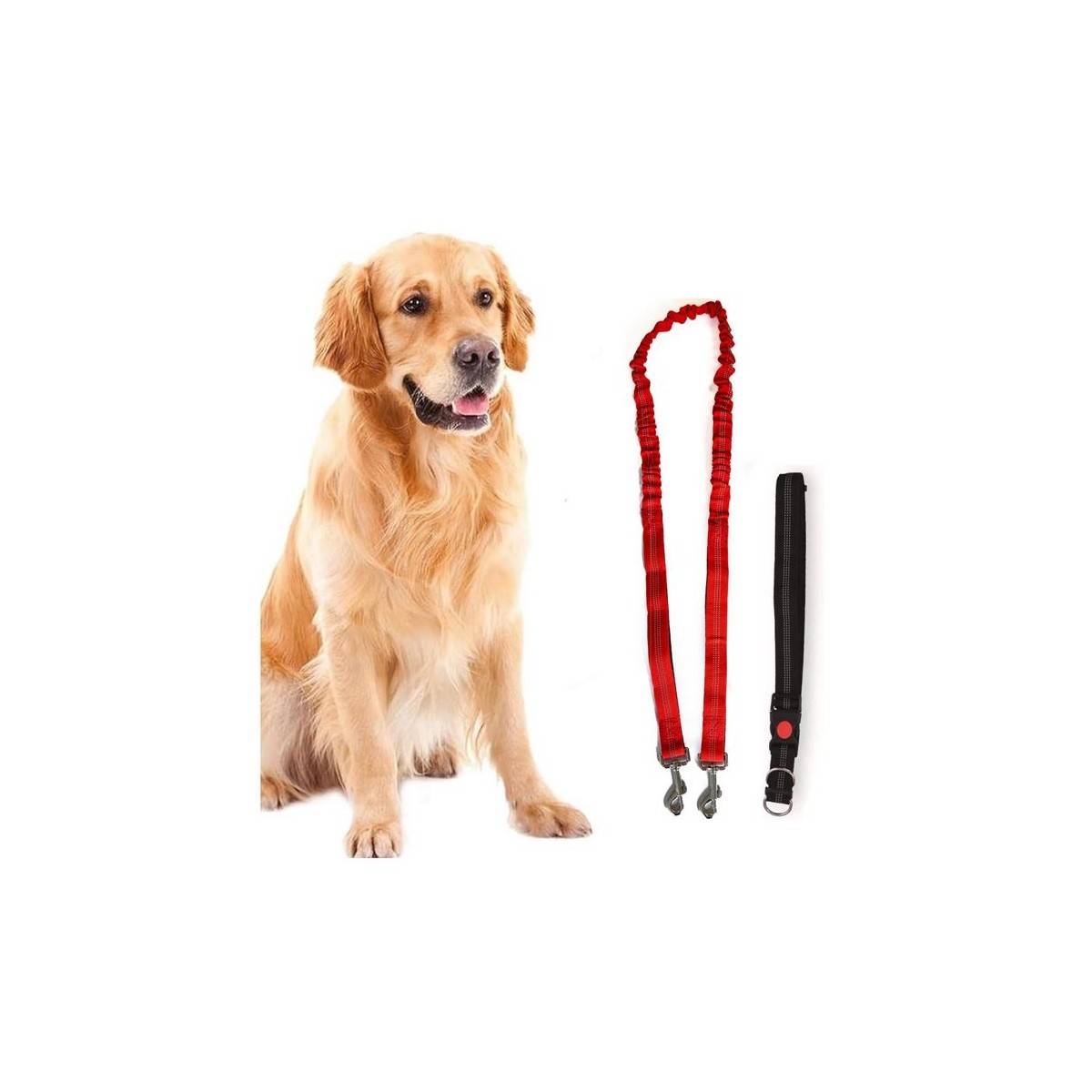 Harnais et Laisse pour chien 190 cm Ceinture réglable 55 à 90 cm Longe Elastique Balade Jogging KZ GARDEN - Imagen 1