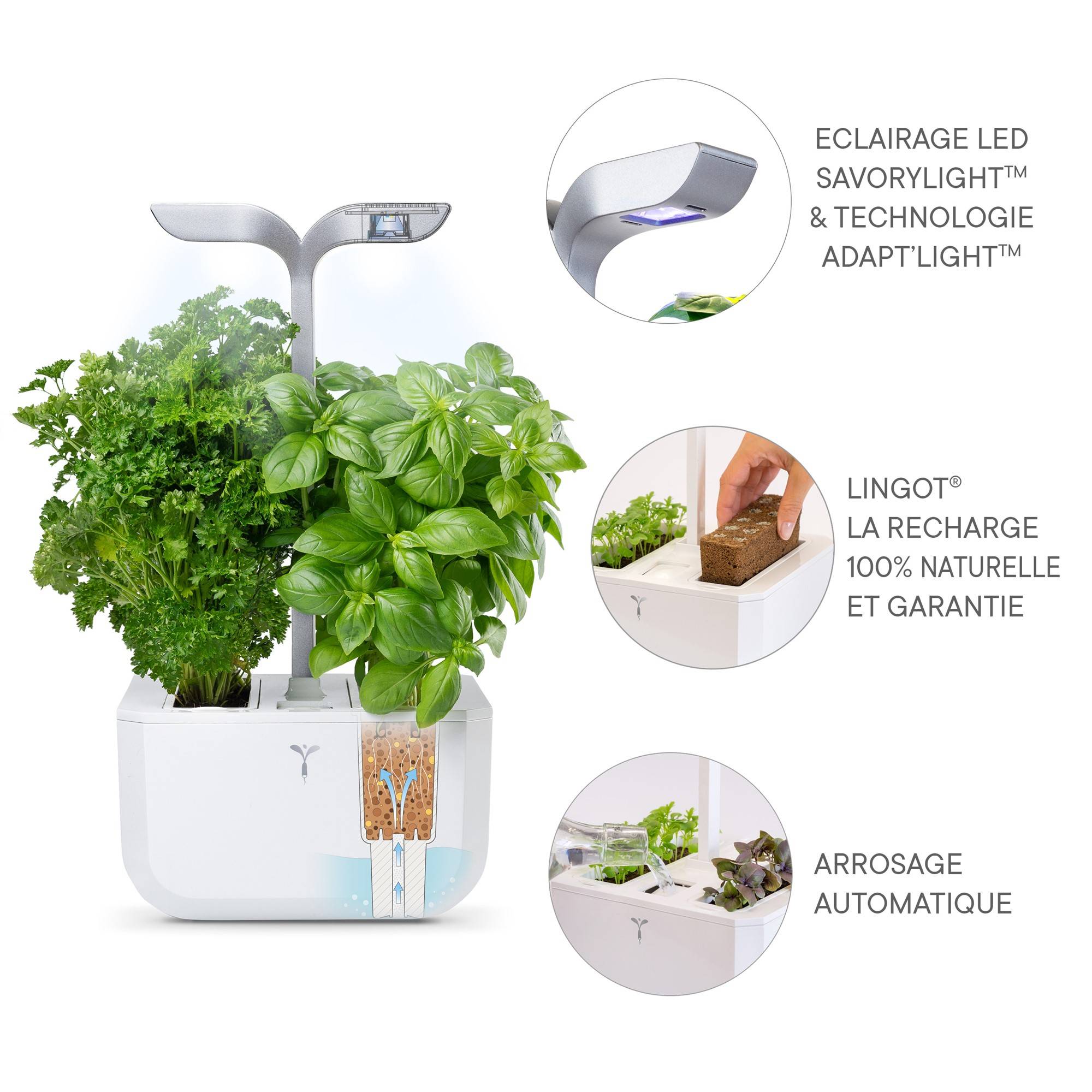 Veritable - Potager d'intérieur Autonome Véritable EXKY SMART Arctic White - Livré avec 2 Lingots - Véritable - Imagen 4