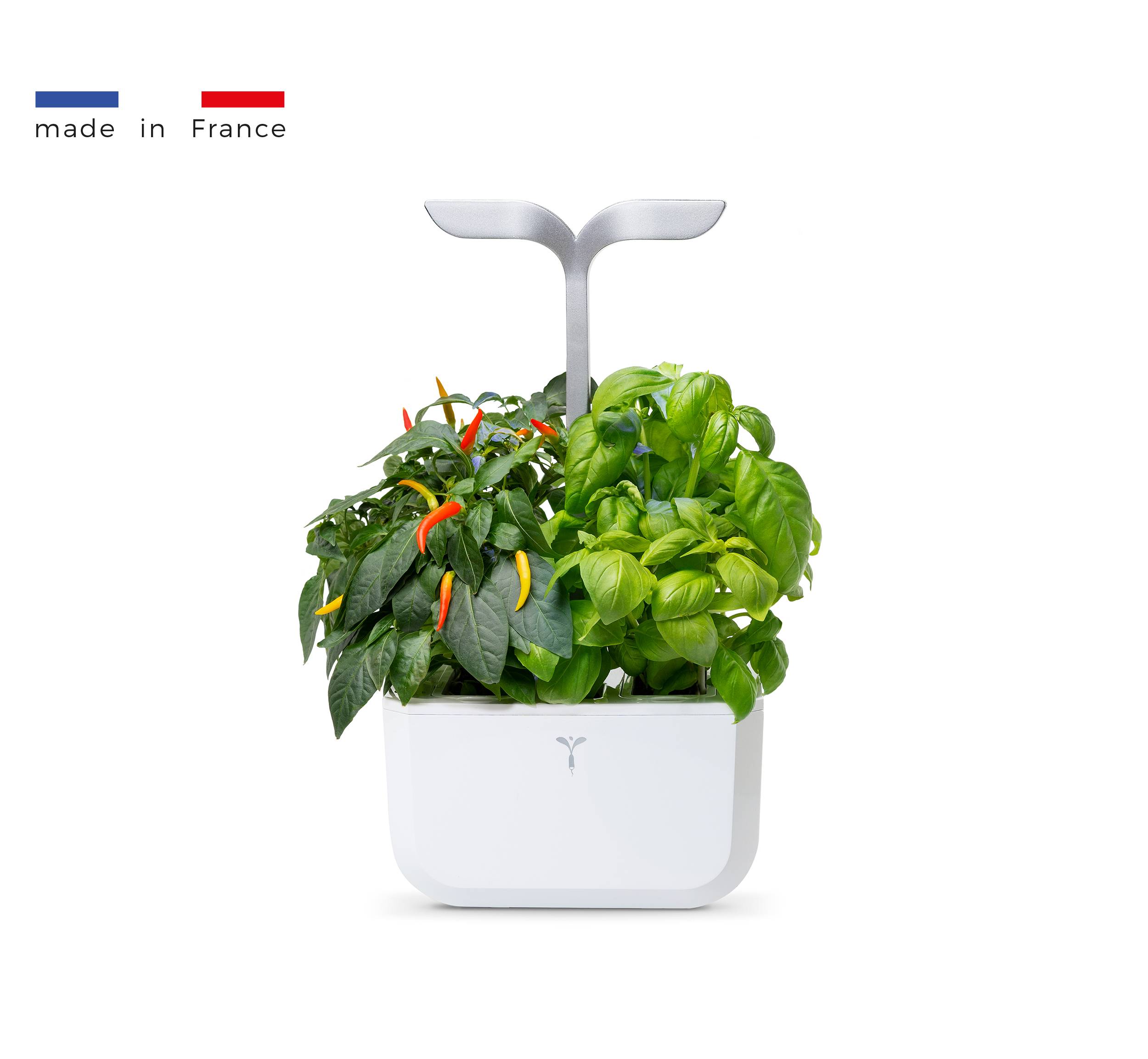 Veritable - Potager d'intérieur Autonome Véritable EXKY SMART Arctic White - Livré avec 2 Lingots - Véritable - Imagen 1