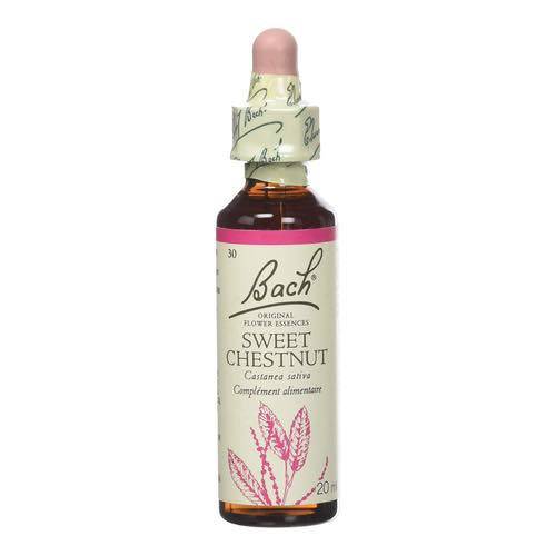 Sweet Chestnut -  Fleurs de Bach n°30 Fleur de Bach