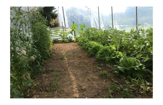 Serre tunnel de jardin - 9m² - 3 x 3 m - pieds droits - haute résistance à petit prix - LES SERRES TONNEAU - Image 10