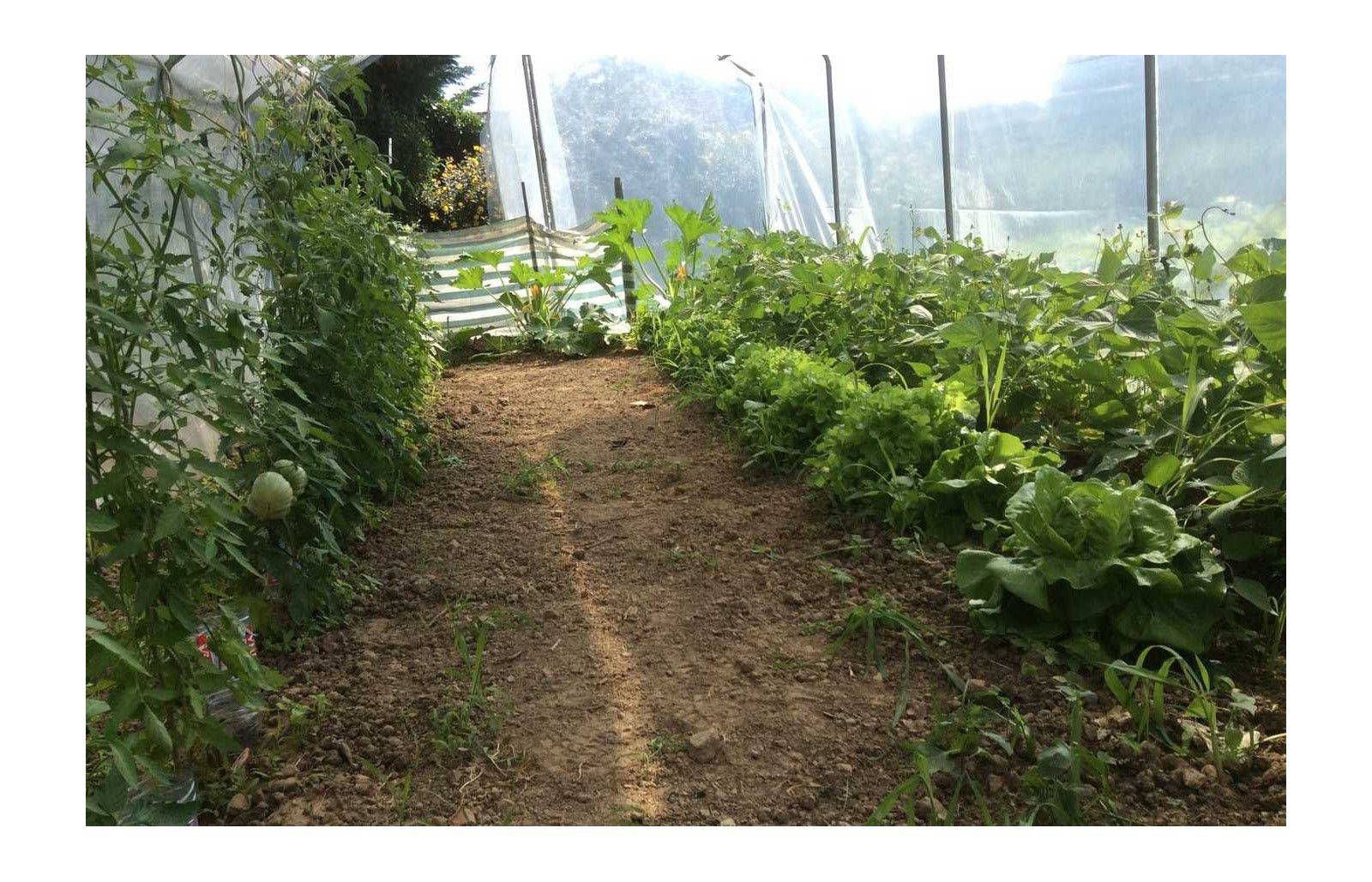 Serre tunnel de jardin - 9m² -  3 x 3 m - pieds droits - haute résistance à petit prix - LES SERRES TONNEAU - Image 10