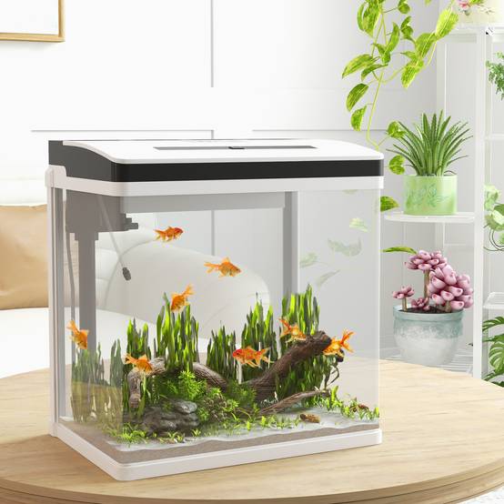 Sans Marque - Aquarium en verre avec filtre couvercle et lumière LED pour poissons capacité 28L 38 x 26 x 39,5 cm blanc - Image 3