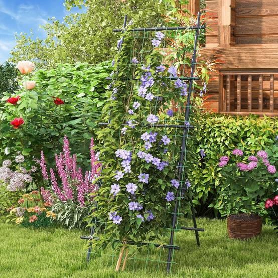 Treillis de Jardin pour Plantes Grimpantes à Cadre en ‘A’ avec Filet, Support Vertical - Image 2