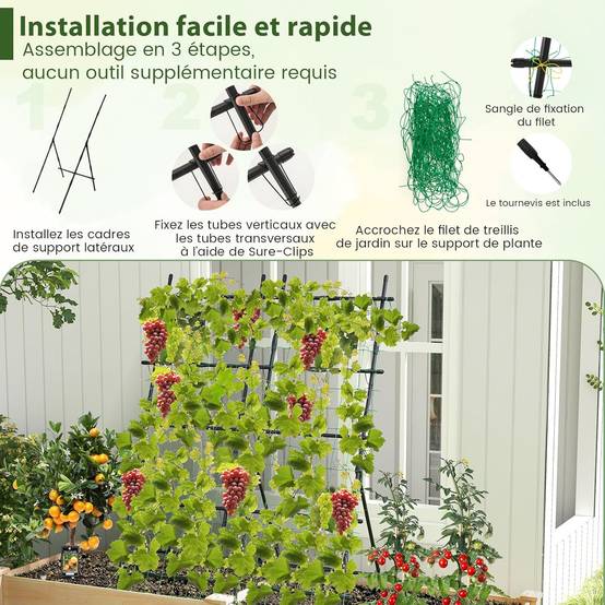 Treillis de Jardin pour Plantes Grimpantes à Cadre en ‘A’ avec Filet, Support Vertical - Image 4