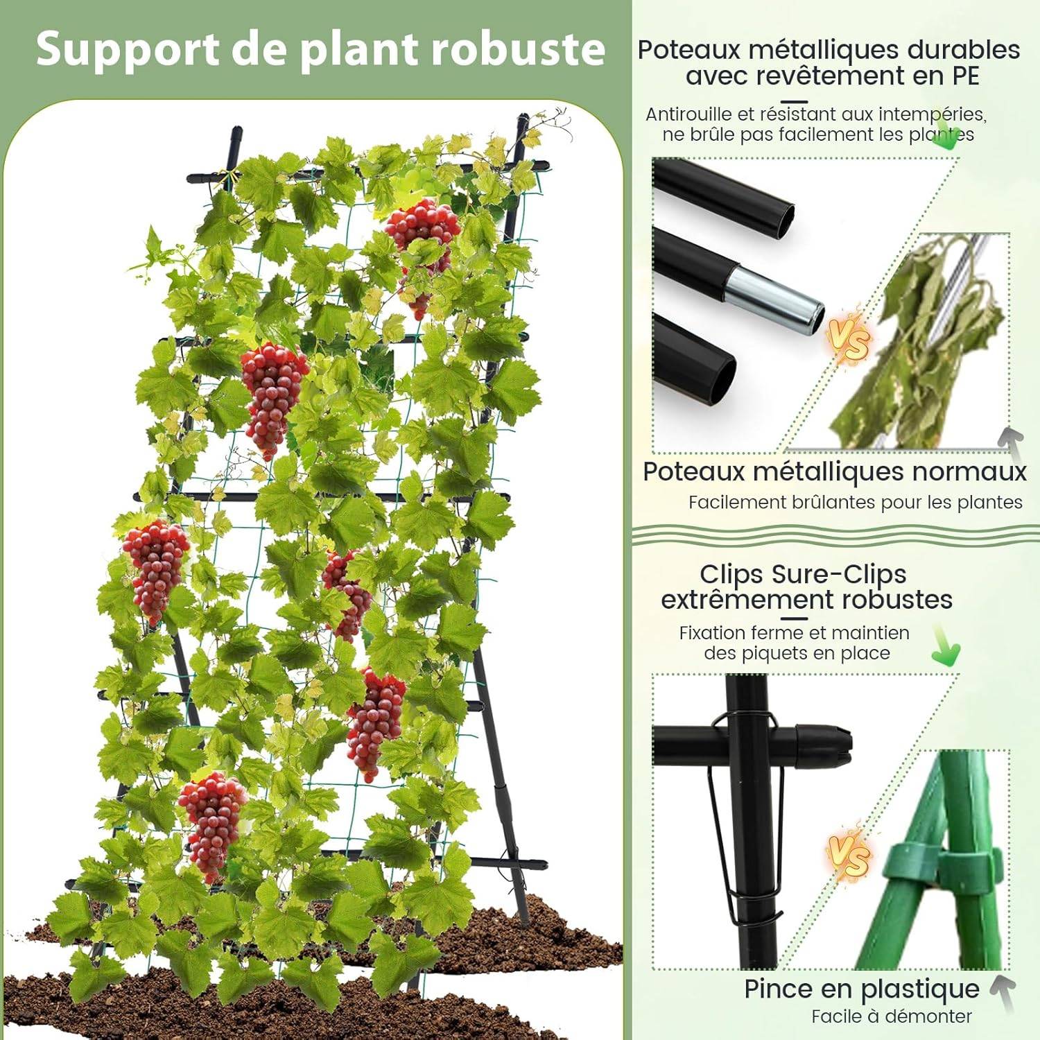 Treillis de Jardin pour Plantes Grimpantes à Cadre en ‘A’ avec Filet, Support Vertical - Image 8