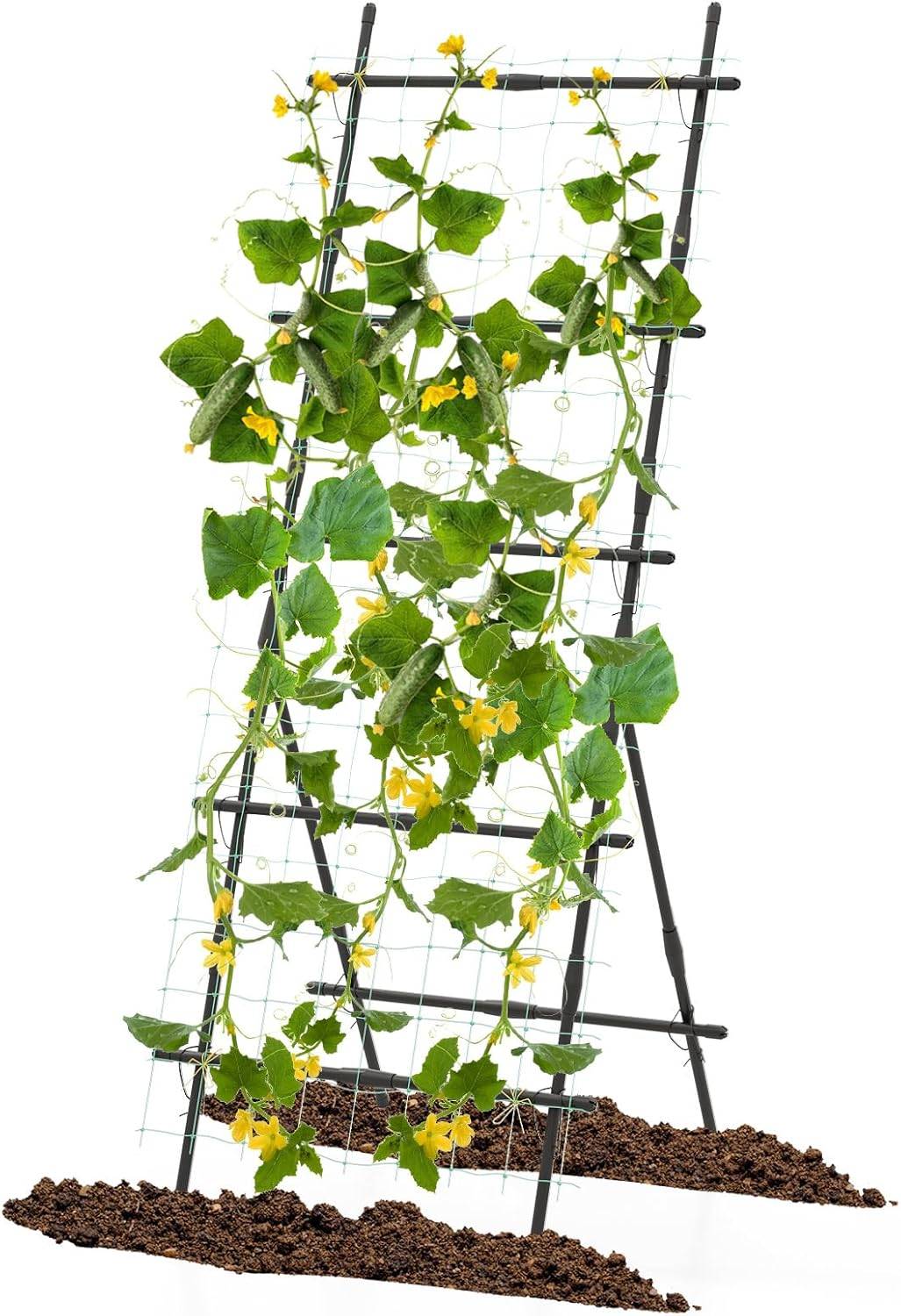 Treillis de Jardin pour Plantes Grimpantes à Cadre en ‘A’ avec Filet, Support Vertical - Image 1