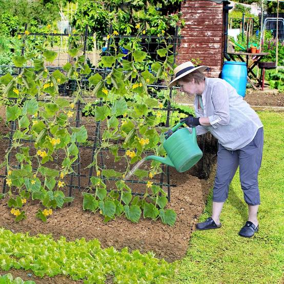 Treillis de Jardin pour Plantes Grimpantes à Cadre en ‘A’ avec Filet, Support Vertical - Image 9