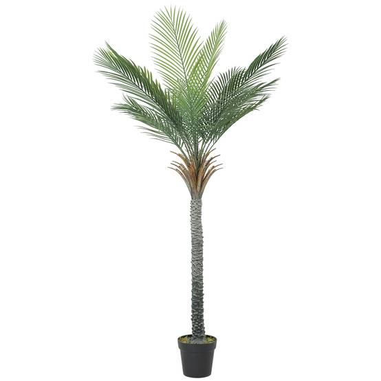 Sans Marque - Plante artificielle décorative de 180 cm, palmier artificiel avec pot et feuilles pour intérieur, vert - Image 2
