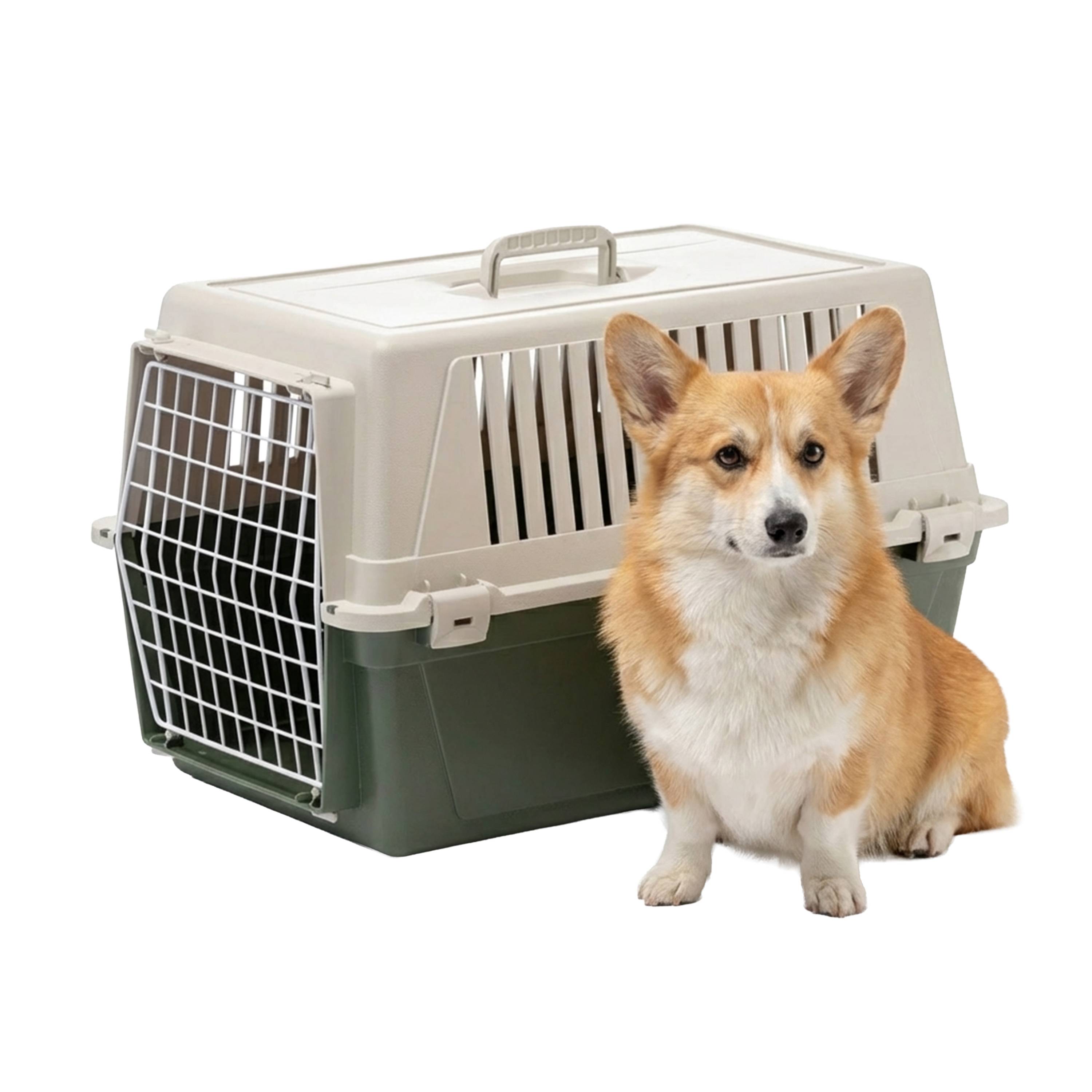 Ferplast - Ferplast Caisse de Transport Chat, Cage de Transport pour Chiens Petits Moyens et Chats jusqu'à 15 Kg, Porte en Fer Plastifié, Fentes d'aération, 40 x - Imagen 4