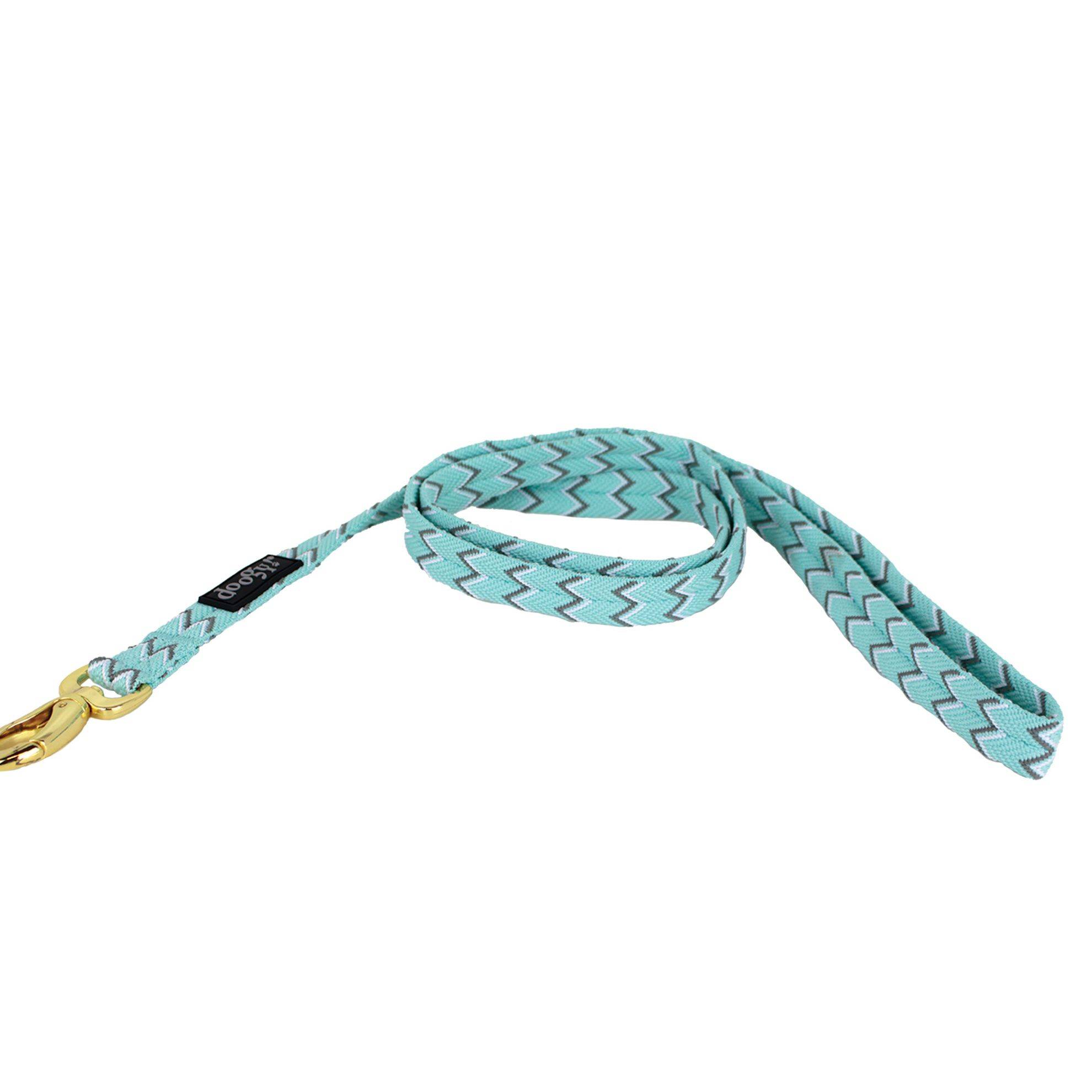 Laisse nylon turquoise Brasil Doogy DOOGY CLASSIC