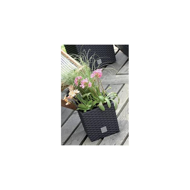 Lem Select - Jardinière plastique RATO brun - Effet Rotin tressé- 4L - 17 cm effet - Imagen 2