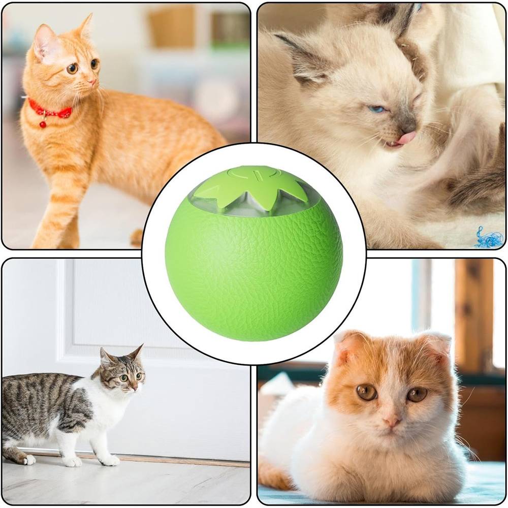 DtopbuyAge - Balle interactive pour chien et chat(vert) DtopbuyAge - Image 5