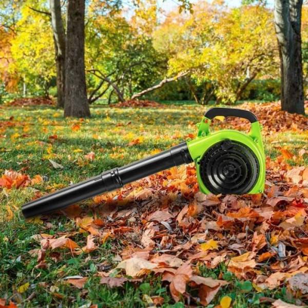 Souffleur / aspirateur a essence - Fieldmann - FZF 6205-B - Image 6