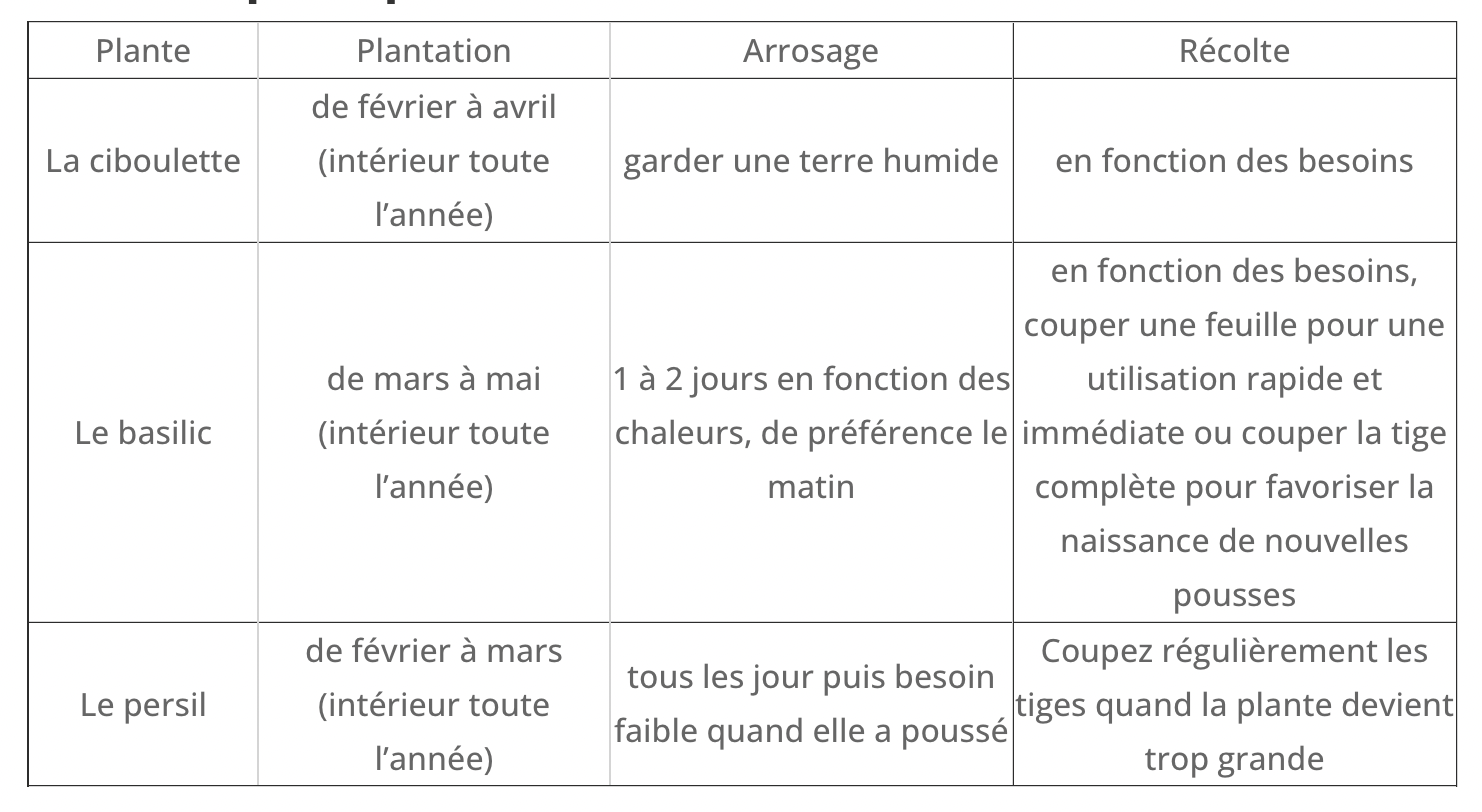 Kit Prêt à Pousser d’Herbes Aromatiques - Jardin potager d’intérieur (Basilic, Persil et Ciboulette) - Cultivea® - Image 3