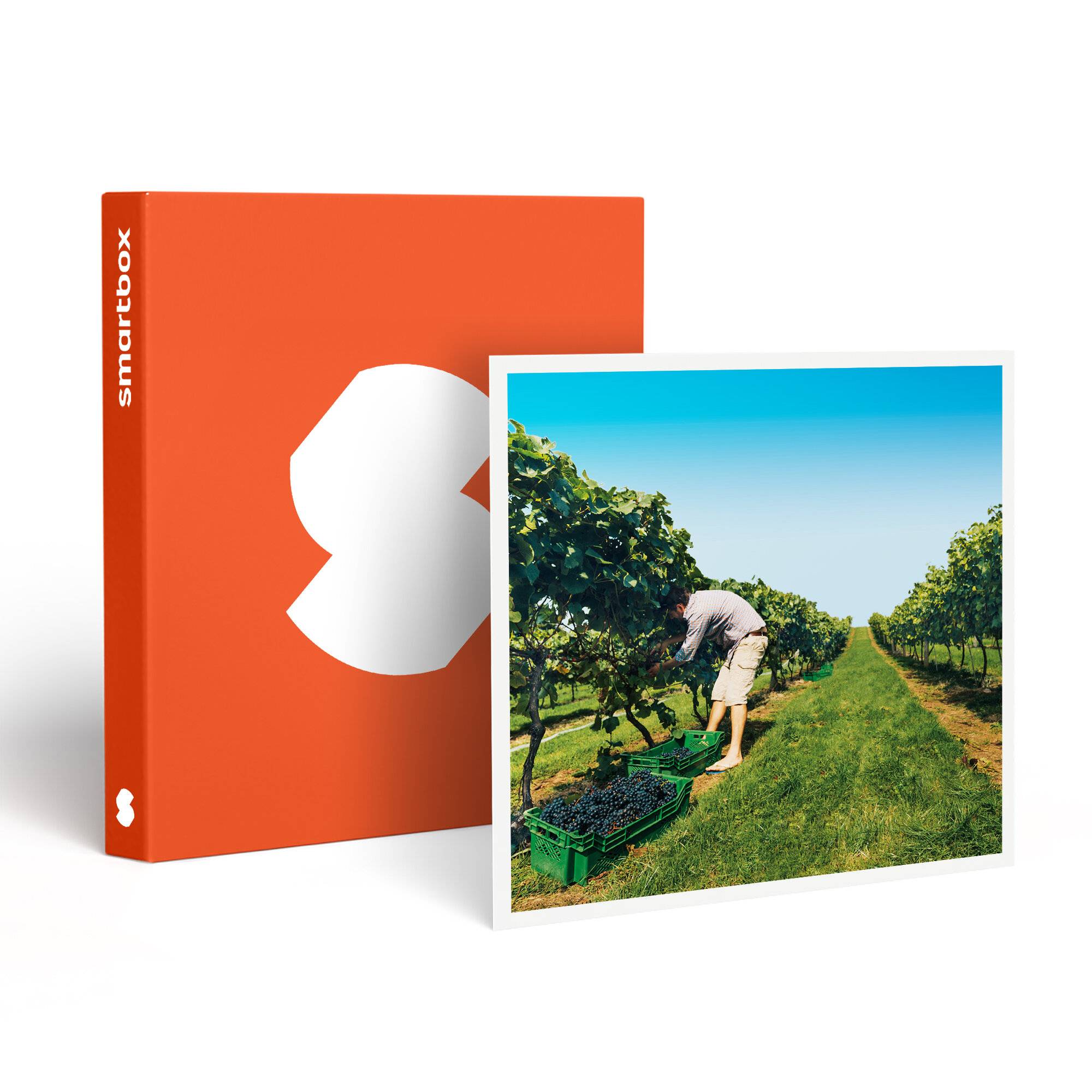 SMARTBOX - Coffret cadeau À la découverte de nos vignobles