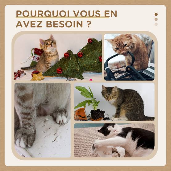 Arbre à chat sisal et peluche beige 56 x 40 x 91 cm - PANGIVO - Image 8