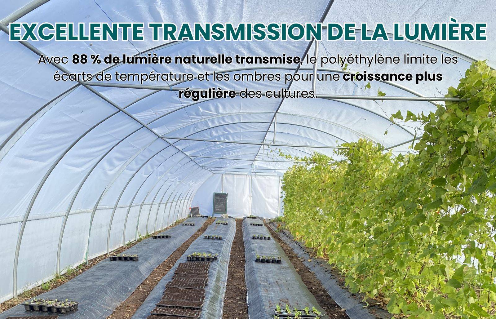 Bâche transparente à la coupe pour serre - polyéthylène 200µ - 2,5 m x 7 m - LES SERRES TONNEAU - Image 6