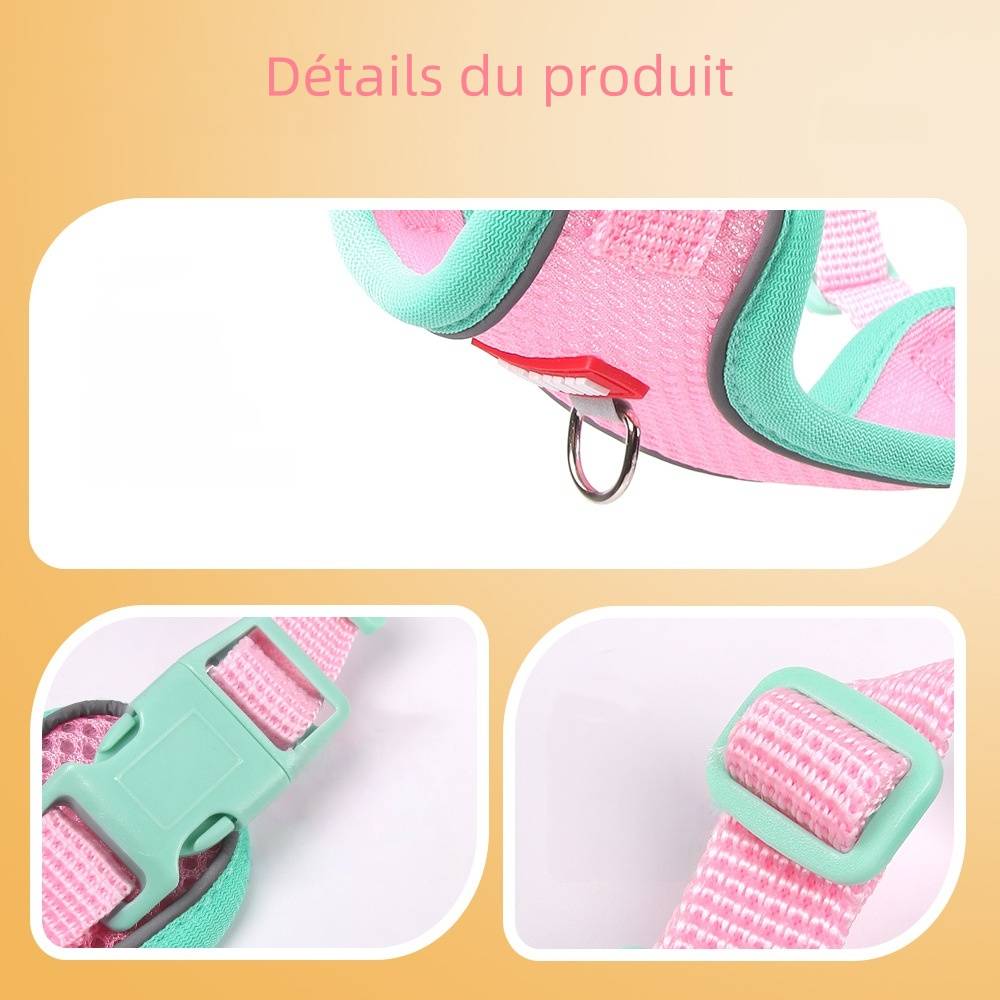 IntiMeg - Harnais avec laisse pour chat m - IntiMeg - Image 5