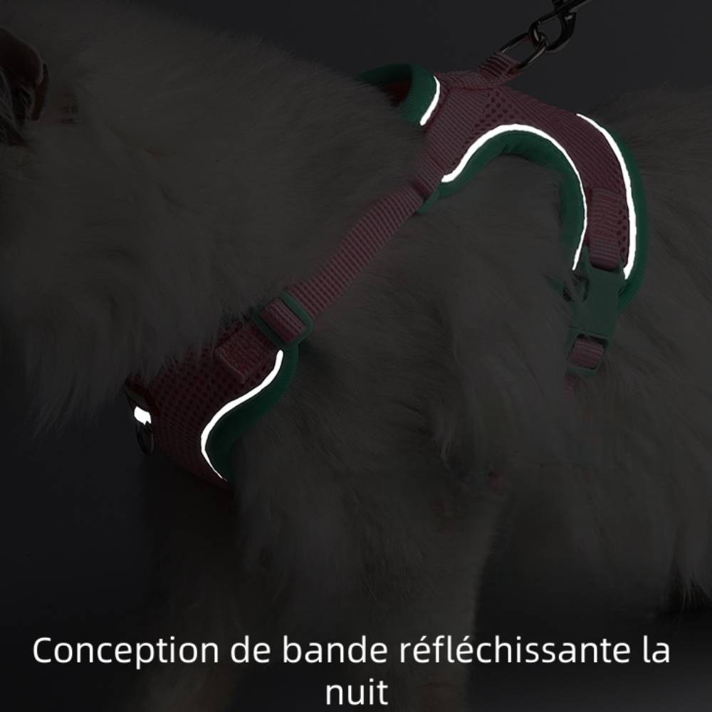 IntiMeg - Harnais avec laisse pour chat m - IntiMeg - Image 3