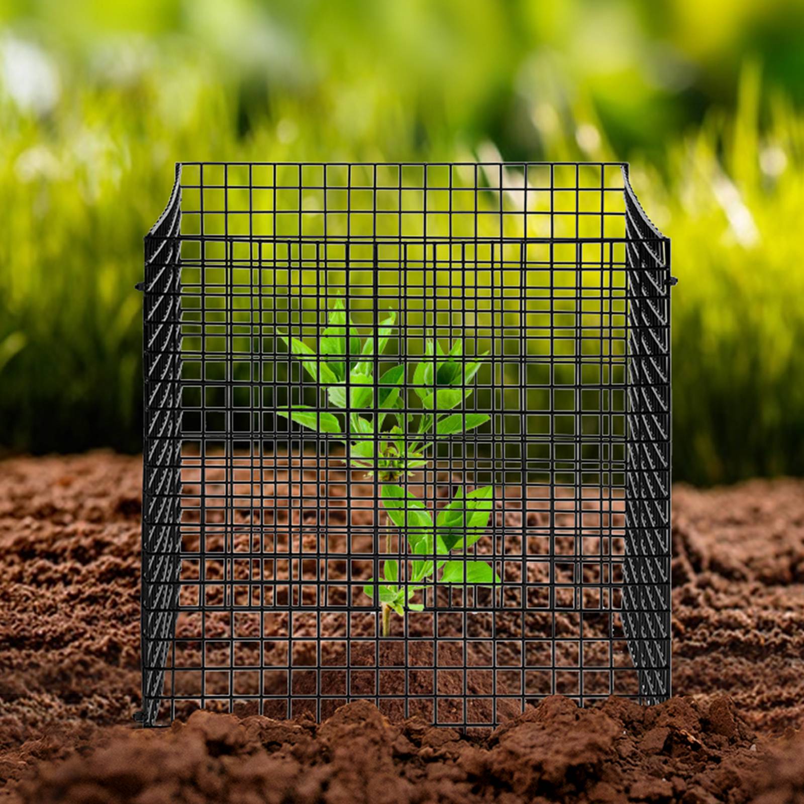 VEVOR Lot 10 protections plantes, grillage 30.5x30.5cm, maille métallique, animaux. - Image 8