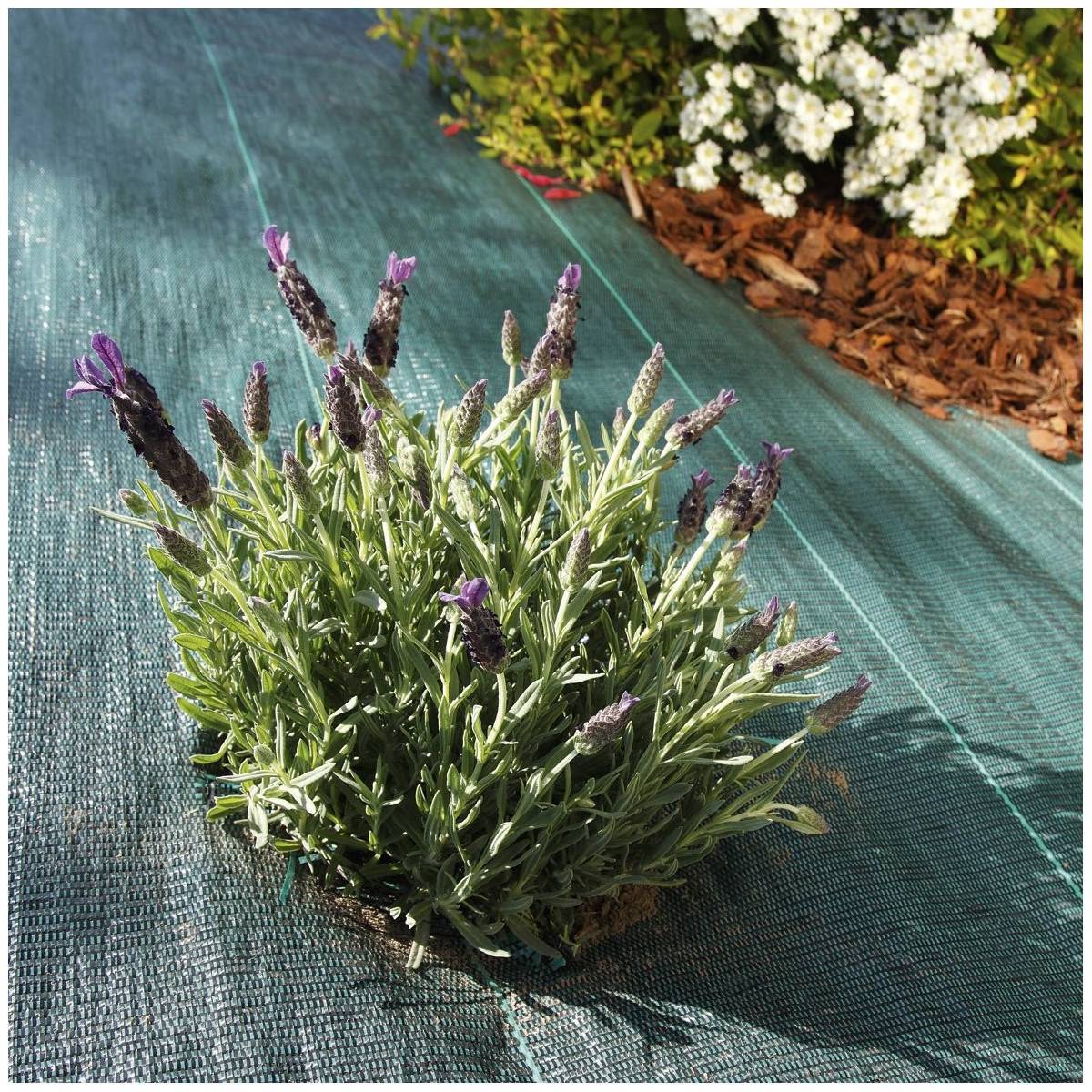 Vilmorin - Toile de paillage tissée 90 g / m² 1.05m x 100m