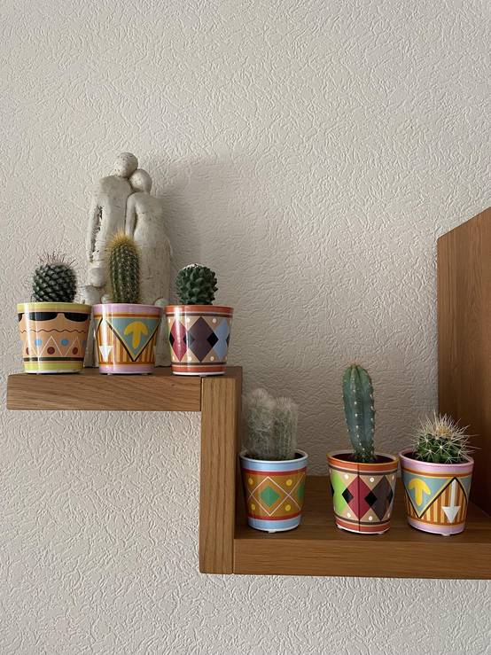 La Green Touch - Ensemble de 6 Cactus - Collection Picaso- La Green Touch - Image 3