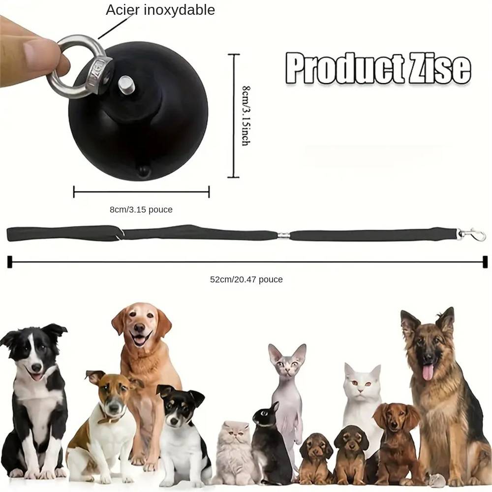 Ensemble de retenues à ventouse pour bain de chiens MCBOSON - Imagen 4
