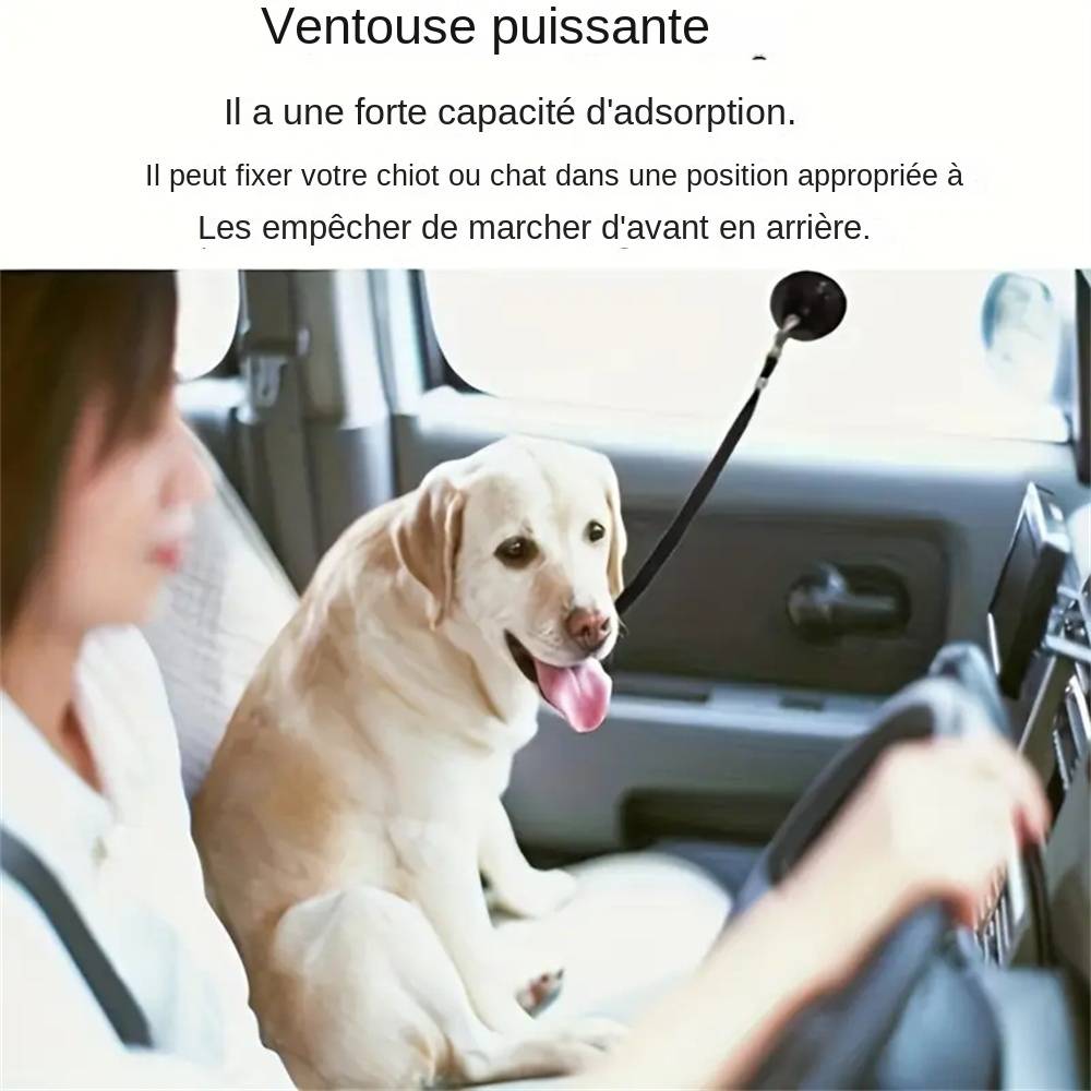 Ensemble de retenues à ventouse pour bain de chiens MCBOSON - Imagen 3