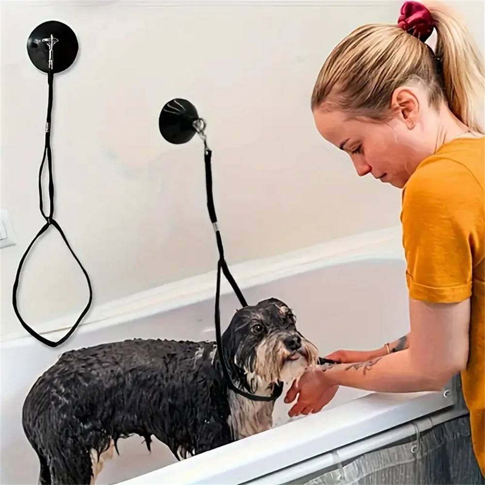 Ensemble de retenues à ventouse pour bain de chiens MCBOSON - Imagen 6