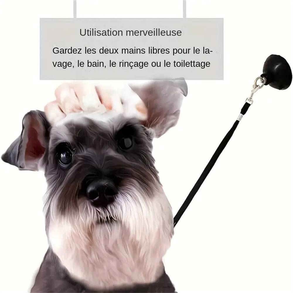 Ensemble de retenues à ventouse pour bain de chiens MCBOSON - Imagen 5