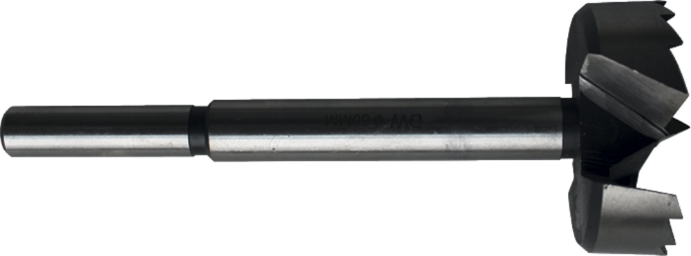 MECHE A FACONNER ACIER D125XLT.160 Q12,5X50 DROITE TYPE FORSTNER COUPE PÉRIPHÉRIQUE FRACTIONNÉE - 102.5125.00 - LEMAN - Imagen 2