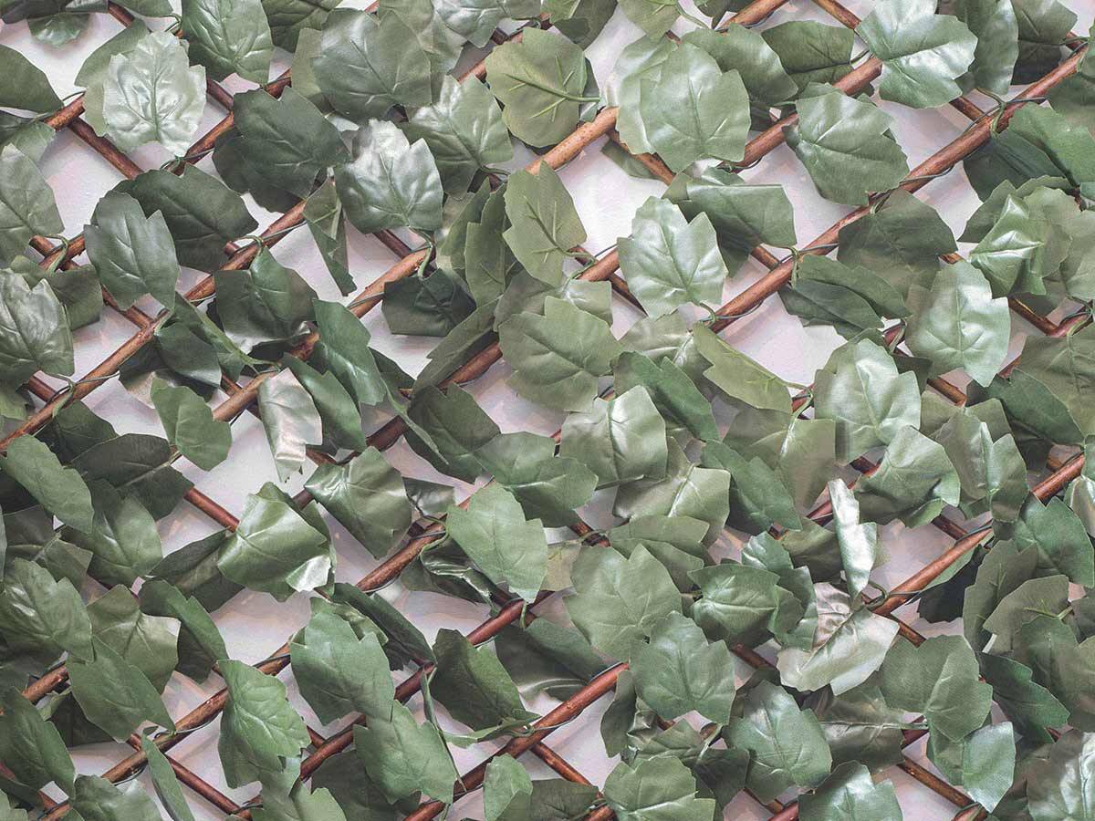 Jardideco - Treillis extensible Feuilles de Lierre 2 m (2 treillis 1 x 2 m) - Jardideco - Imagen 2