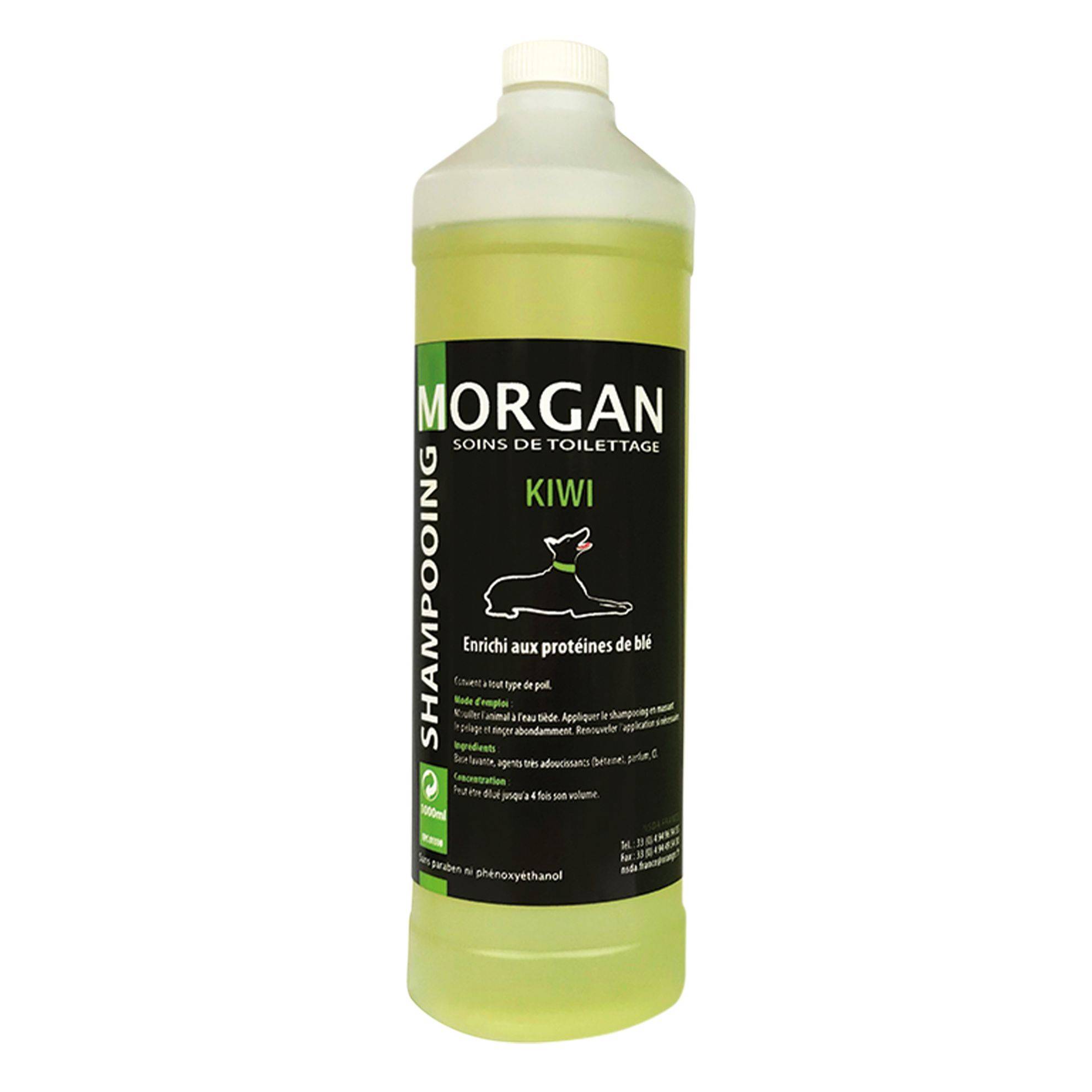 Shampoing protéiné senteur Kiwi Morgan : 1L MORGAN